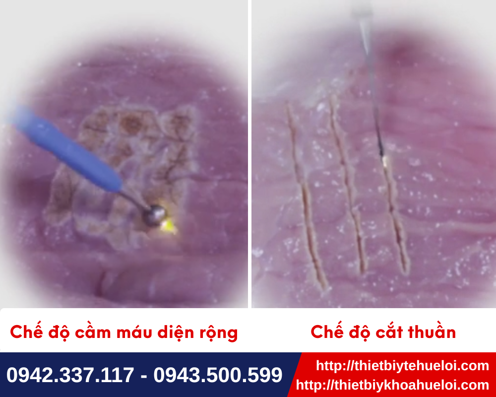 Thử nghiệm chế độ cắt và cầm máu với dao mổ điện cao tần thú y đơn cực hiện đại