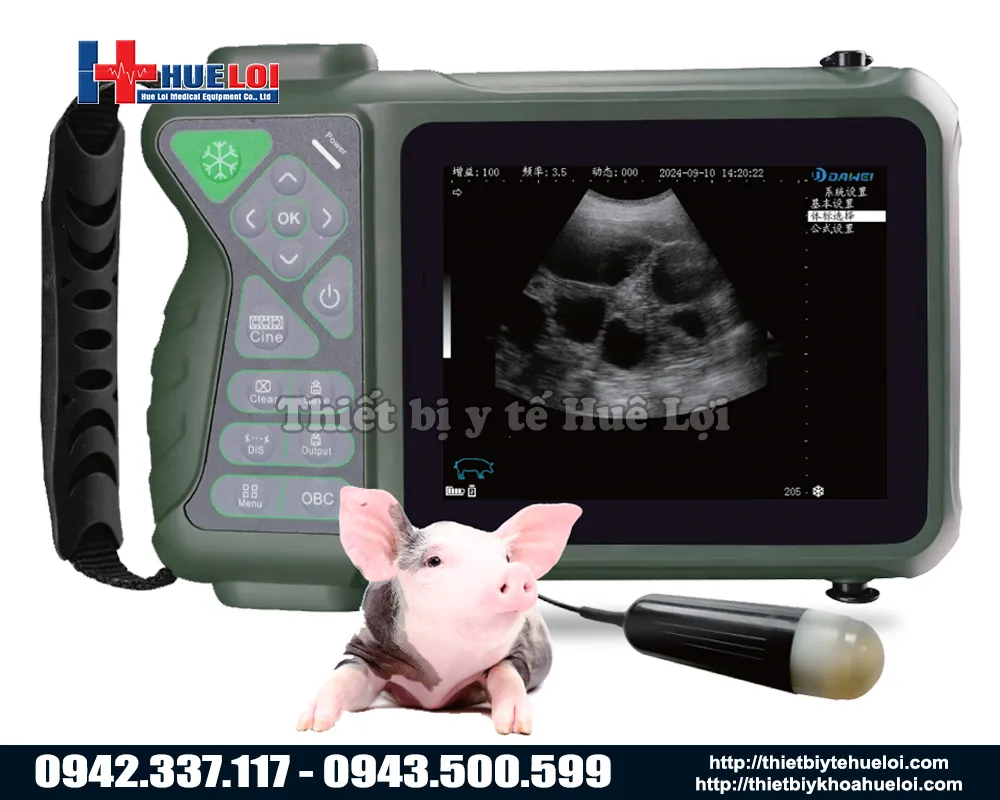 Máy siêu âm thai cho heo chuyên dụng