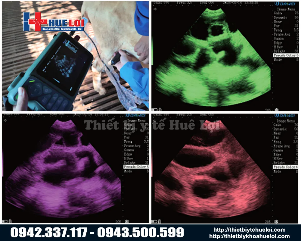 Máy siêu âm thai cho lợn giá rẻ