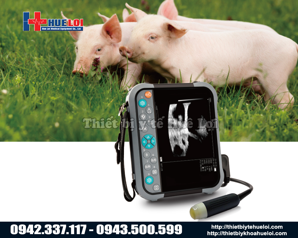 Máy siêu âm trang trại di động