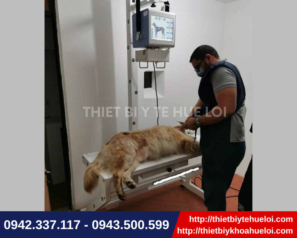 Thực tế sử dụng máy x quang thú y kĩ thuật số di động hiện đại